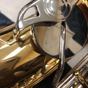 Meet your Posher, Anaya